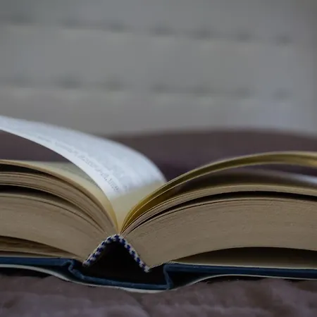 Venturini * Πιατσέντζα