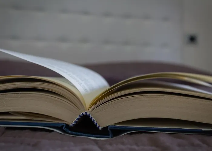 Venturini * Plasencia